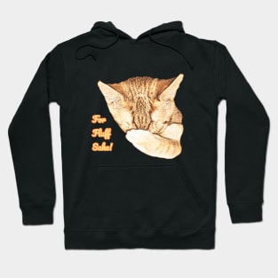 Funny Face Palming Kitty Cat - For Fluff Sake! (FFS) Hoodie